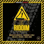 RH Riddim – Noize Boyz Records