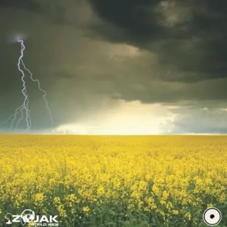 riddim hope - skelly dan records