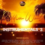Riddim World Instrumentals Volume 2