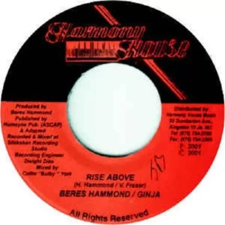 Rise Above Riddimm – Harmony House Rise Above Riddimm - Harmony House