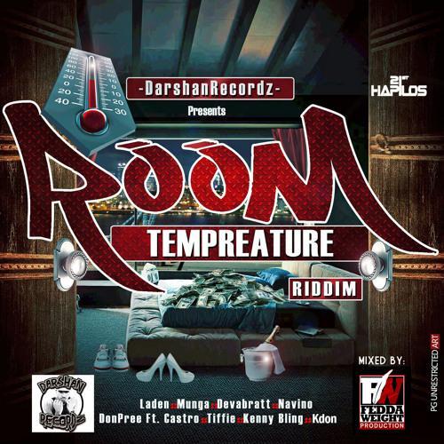room temperature - darshan recordz