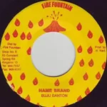 Salt Shaker Remixes – Fire Fountain