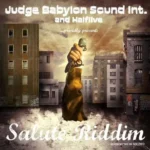 Salute Riddim (2011) – Head Concussion Records