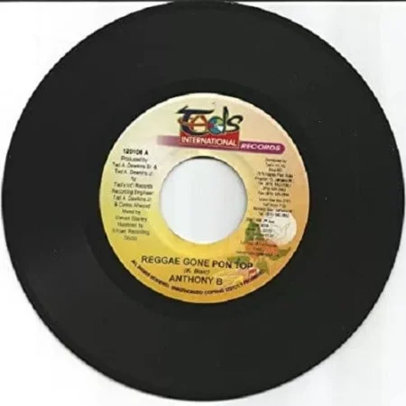 same riddim - tads international