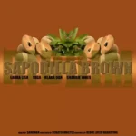Sapodilla Brown Riddim – Various Artists