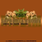 Sapodilla Brown Riddim – Various Artistes