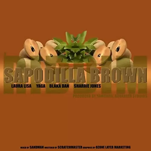 sapodilla brown riddim - various artists