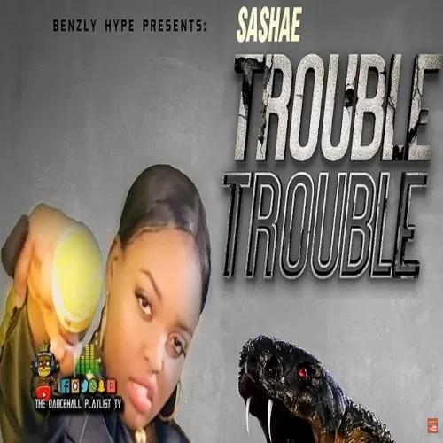sashae - trouble trouble