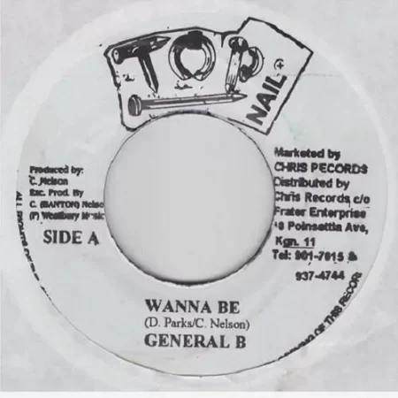 scriptum riddim - top nail