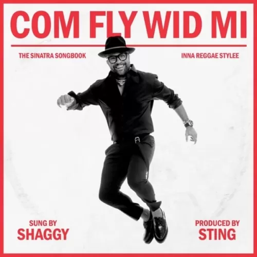 shaggy - com fly wid mi album