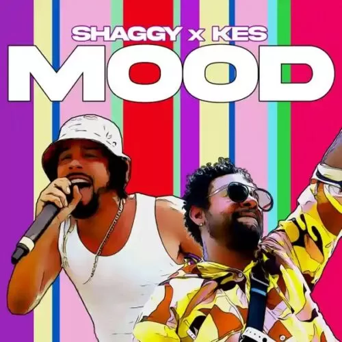 shaggy ft. kes - mood