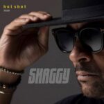 Shaggy – Hotshot Album