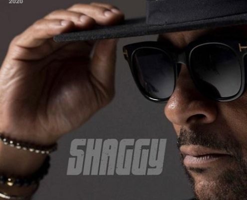 Shaggy Hotshot Album