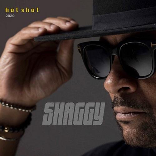 Shaggy Hotshot Album