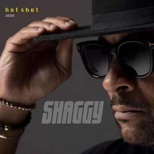 shaggy - hotshot album