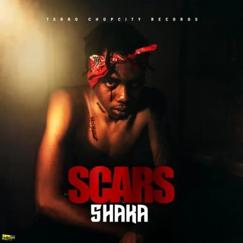 shaka - scars