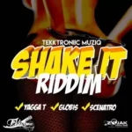 Shake It Riddim – Tekktroniic Muziq
