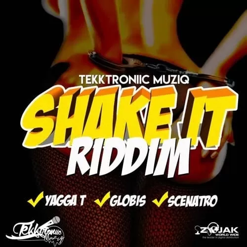 shake it riddim - tekktroniic muziq
