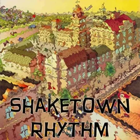 Shake Town Riddim - Various Artists