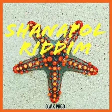 shanapol riddim - evorecordz