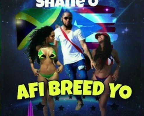 Shane O Afi Breed Yo