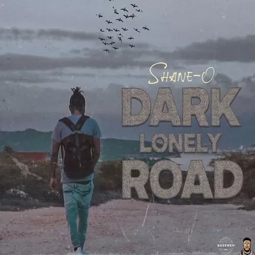 shane o - dark lonely road
