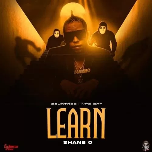 shane o - learn