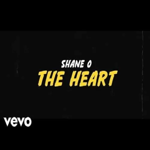 shane o - the heart