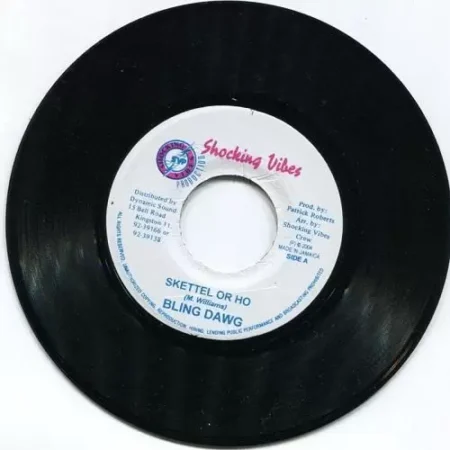 shankle dip riddim - shocking vibes production