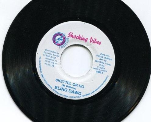 Shankle Dip Riddim