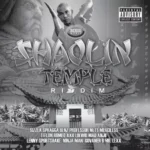 Shaolin Temple Riddim (2007) – Drop Di Bass Records