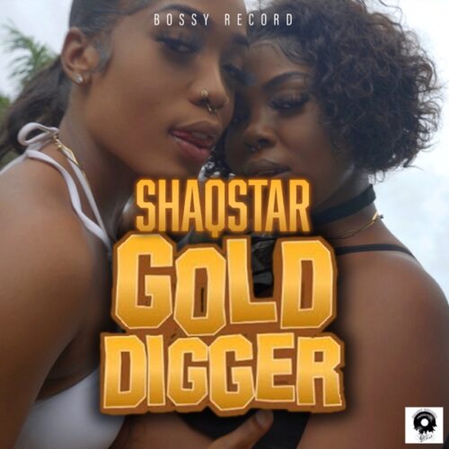 shaqstar-gold-digger