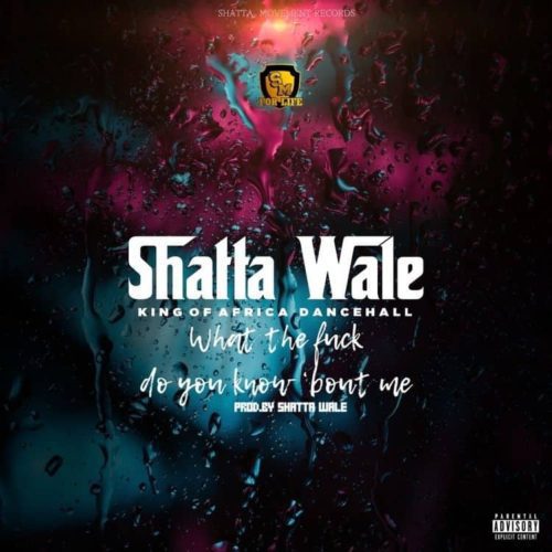 shatta-wale-what-do-you-know-about-me