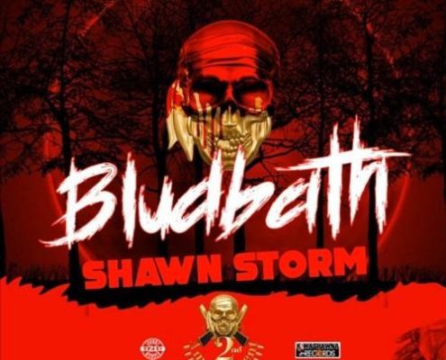 Shawn Storm Blud Bath
