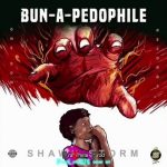 Shawn Storm Bun A Pedophile