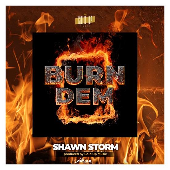 Shawn Storm Burn Dem