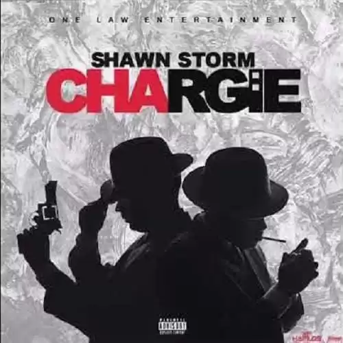 shawn storm - chargie