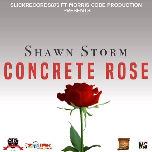 shawn storm - concrete rose