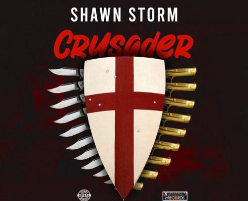 Shawn Storm Crusader