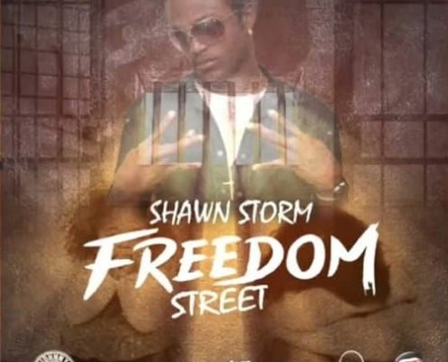Shawn Storm Freedom Street