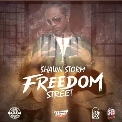 shawn storm - freedom street