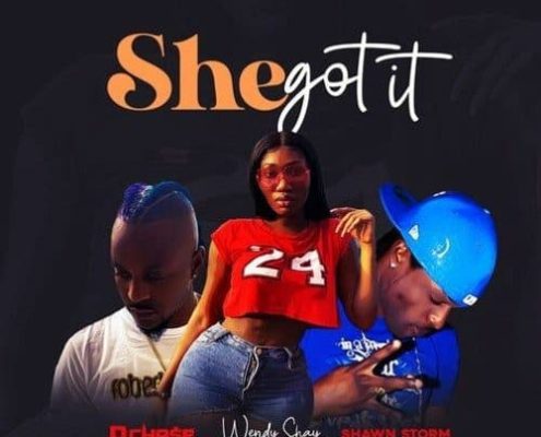 Shawn Storm Ft Wendy Shay D Chase She Got It