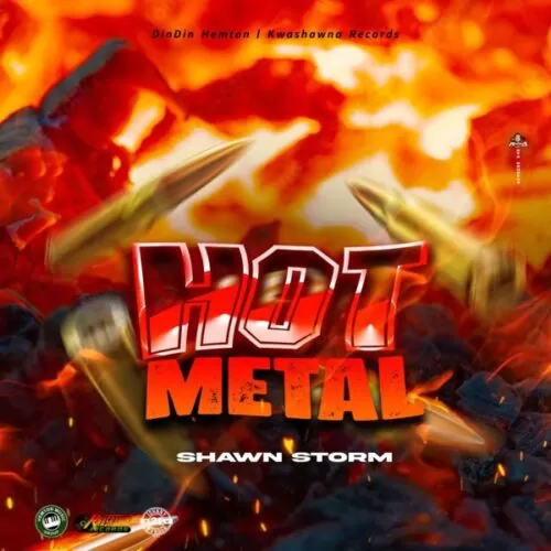 shawn storm - hot metal