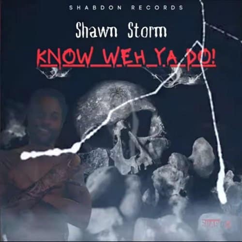 shawn storm - know weh yah do