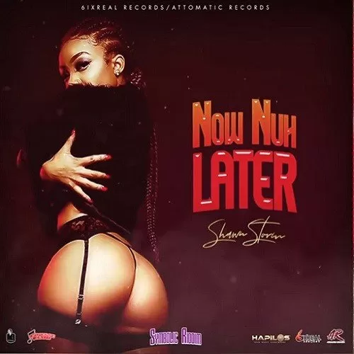 shawn storm - now nuh later