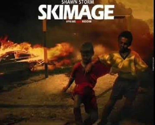 Shawn Storm Skimage