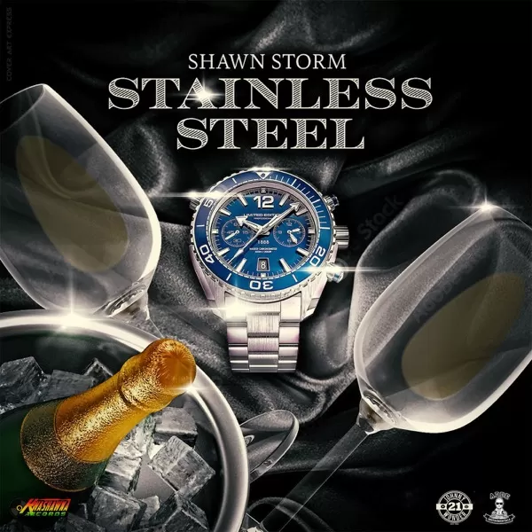 shawn storm - stainless steel