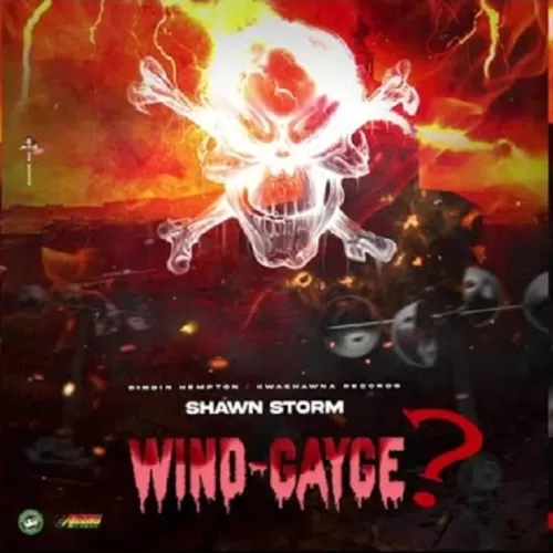 shawn storm - wind-gayge