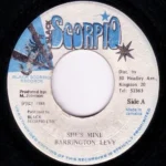 She Is Mine Riddim – Black Scorpio