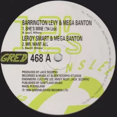 Shes Mine Riddim / Blen Dem Riddim – Various Labels shes mine riddim / blen dem riddim - various labels